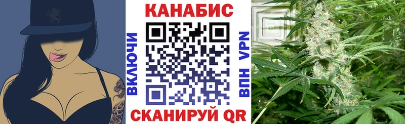 Купить закладку Жиздра omg Канабис Меф A PVP ГАШИШ КОКАИН