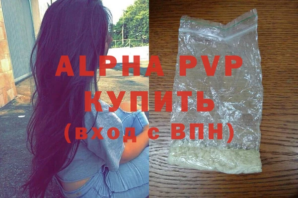 гашик Горняк
