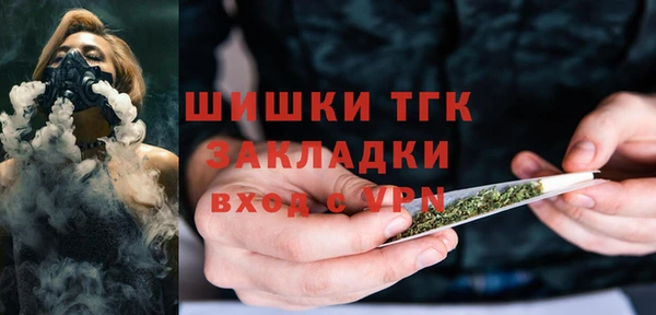 прущие грибы Волоколамск