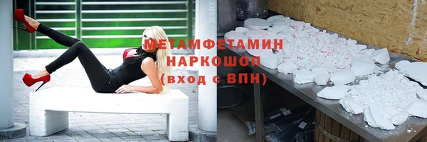 прущие грибы Волоколамск