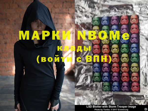 прущие грибы Волоколамск