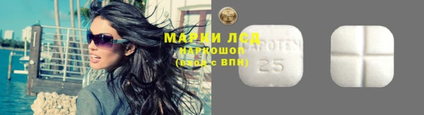 прущие грибы Волоколамск