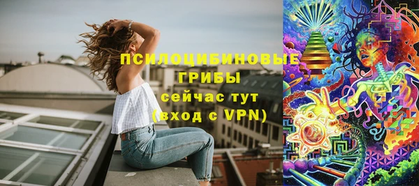 прущие грибы Волоколамск