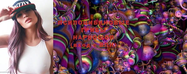 гашик Горняк