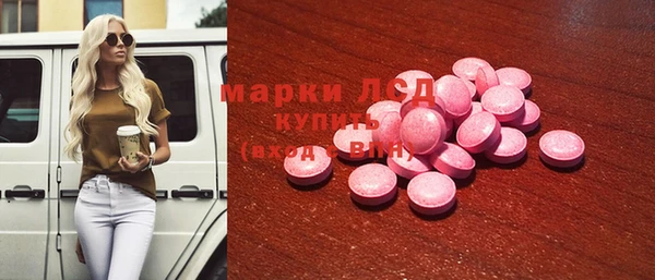 прущие грибы Волоколамск
